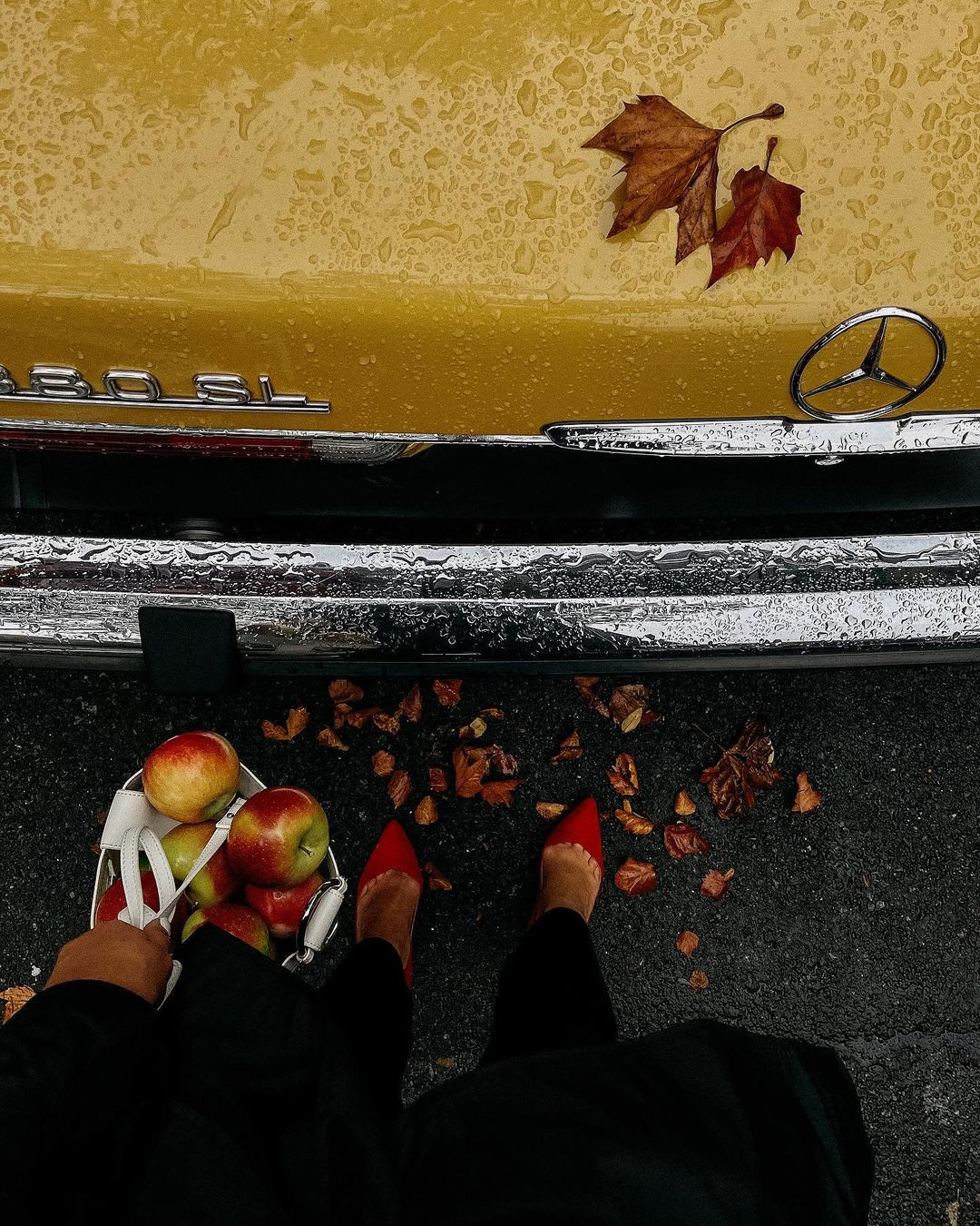 Classic_MB_Leaf