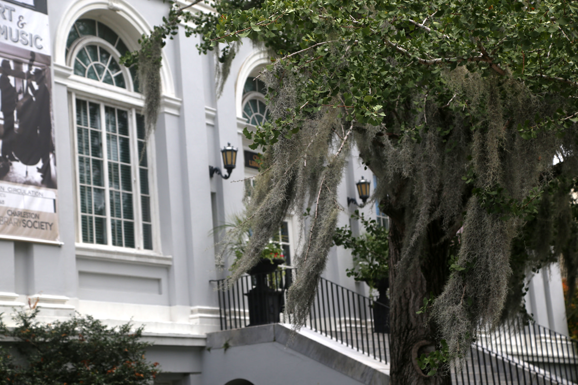 charleston_17