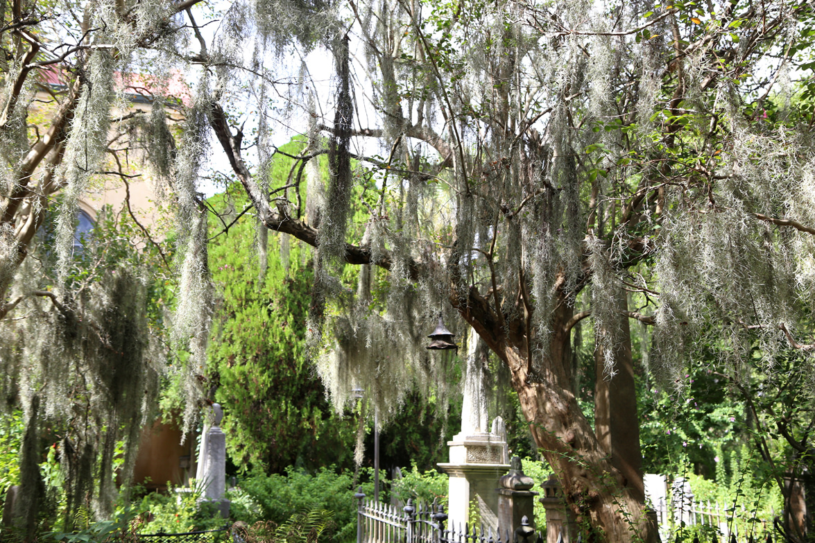 charleston_7
