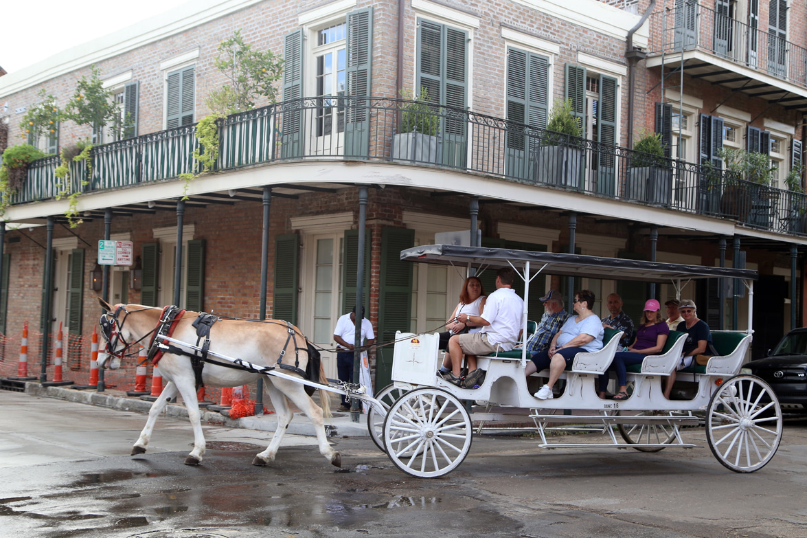neworleans_15