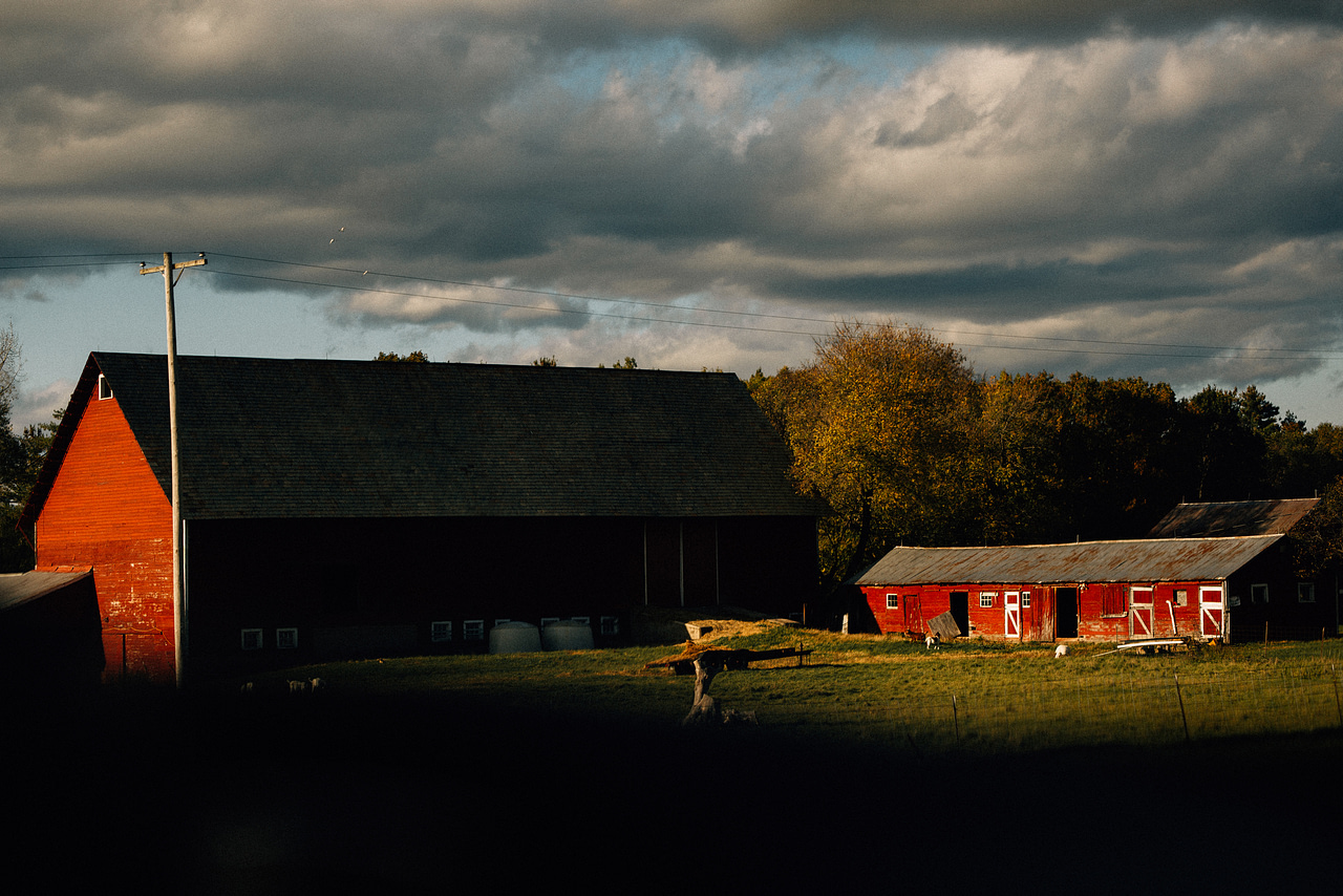 20 beautiful literary quotes about autumn - This Time Tomorrow